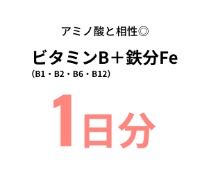 ビタミンB（B1・B2・B6・B12）+鉄分Fe 1日分